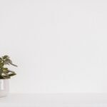 De Renovliesbehanger